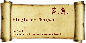 Pingiczer Morgan névjegykártya